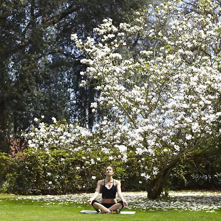 מלון Casa Velha Do Palheiro Relais & Chateaux