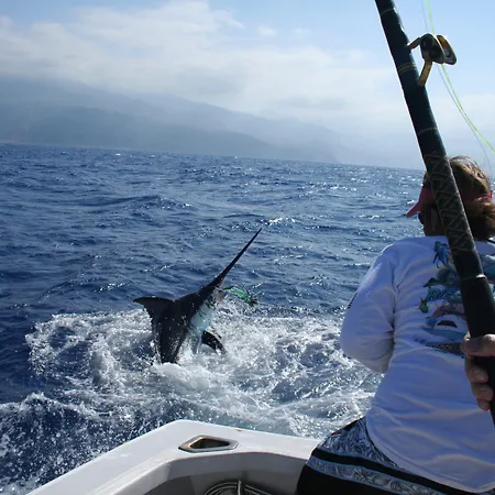 Casa Velha Do Palheiro Relais & Chateaux Hotel 5*