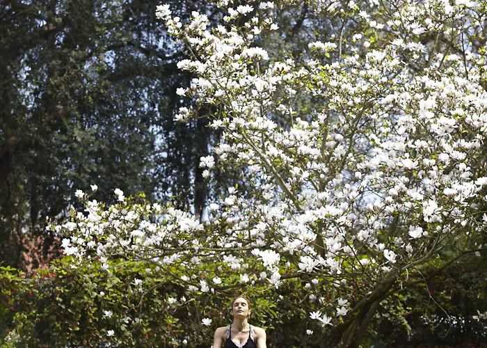 酒店 Casa Velha Do Palheiro Relais & Chateaux